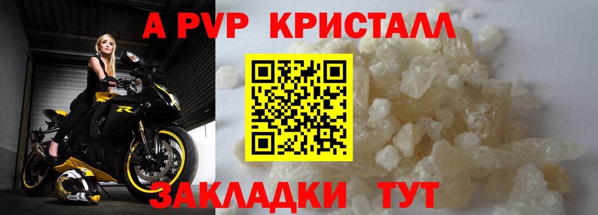 А ПВП СК Камышин