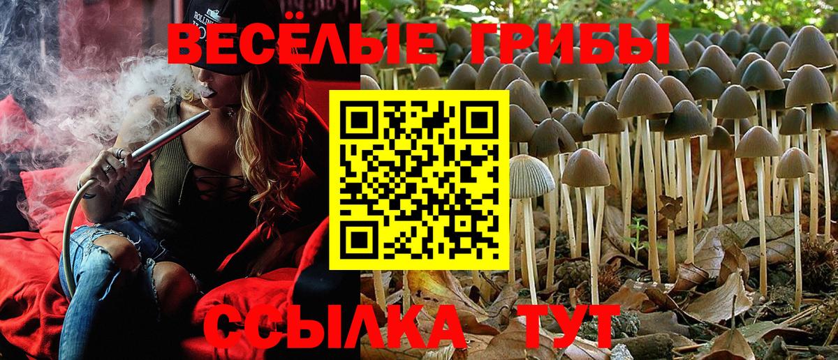 Камышин  Галлюциногенные грибы Magic Shrooms  Вход с VPN  Галлюциногенные грибы Psilocybe 